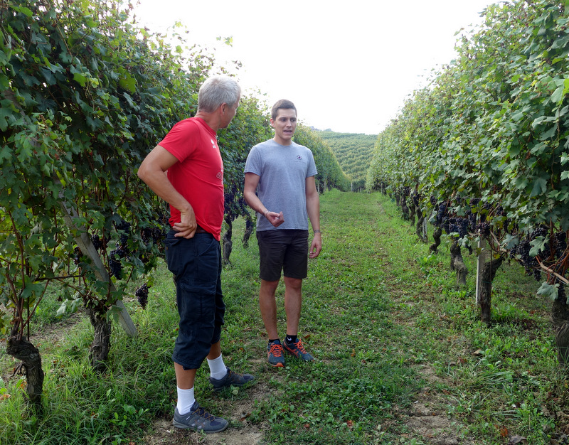 Davide pratar om ekologisk bekämpning av vinskottsvecklare