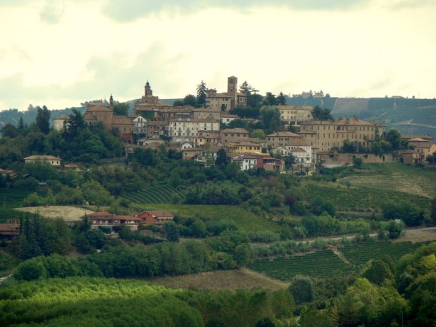 Neive i Piemonte lever och andas vin och vinodling.